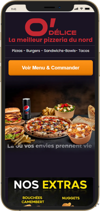 Le même site sur un téléphone